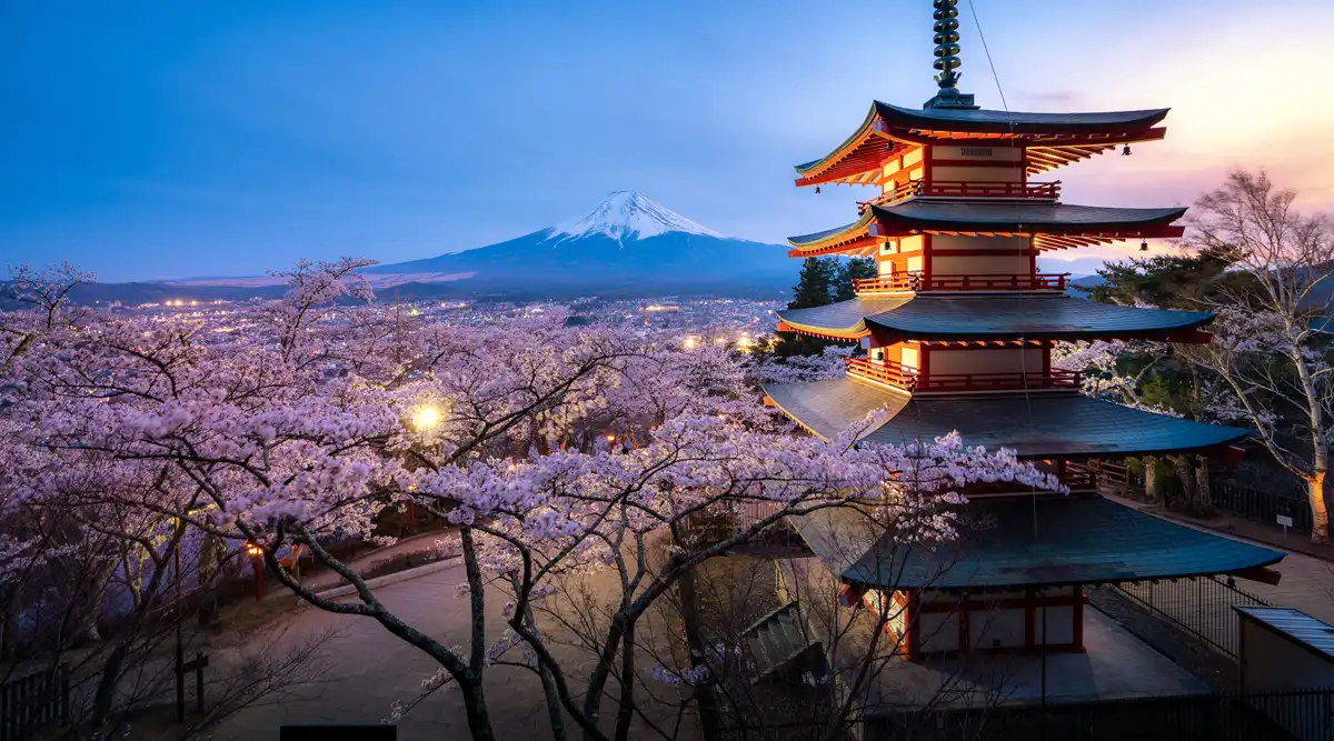 Japanische Pagode mit Kirschblüten und Blick auf den Fuji als Symbolbild für die Fortbildungsreise Praxisstarter Mastermind Tokyo.